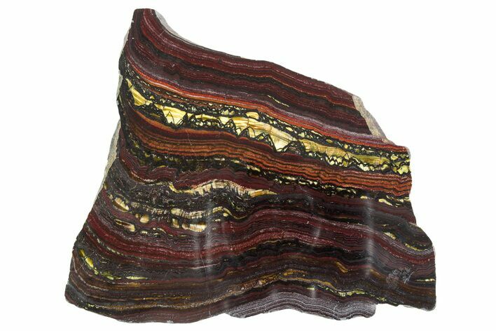 Polished Tiger Iron Stromatolite Slab - Billion Years #351820